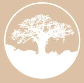 Bimeditation tree logo